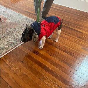 Puppia dog Jacket with hood